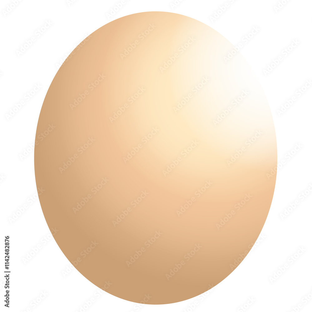 Chicken egg illustration Chicken egg illustration