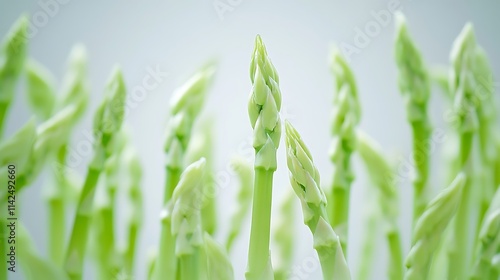 Detailed close-up capturing fine details of asparagus tips and stalks, white backdrop intensifying green tones, simple composition emphasizing freshness  photo