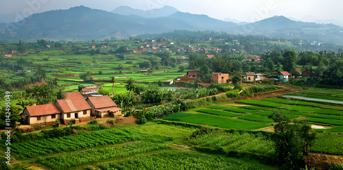Wallpaper Mural A scenic view of lush green fields and mountains in a rural landscape. Torontodigital.ca