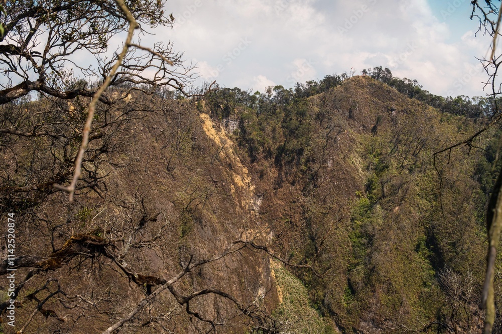 Rugged Hills Framed by Bare Branches Rugged Hills Framed by Bare Branches