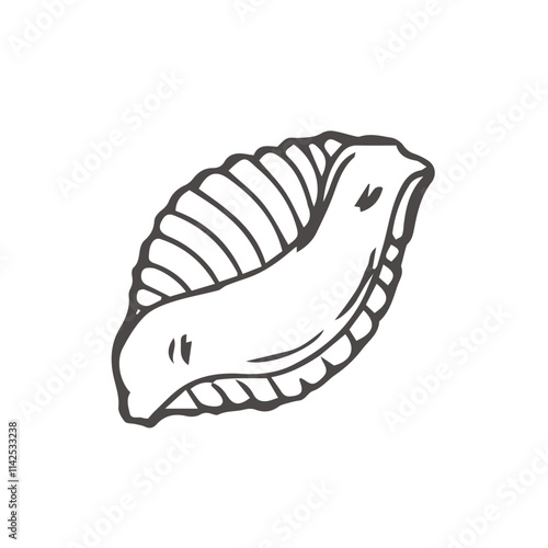 Pasta Conchiglie rigate sketch. Italian Food vector illustration. Vintage hand drawn doodle style. Black line cook icon, isolated white background.