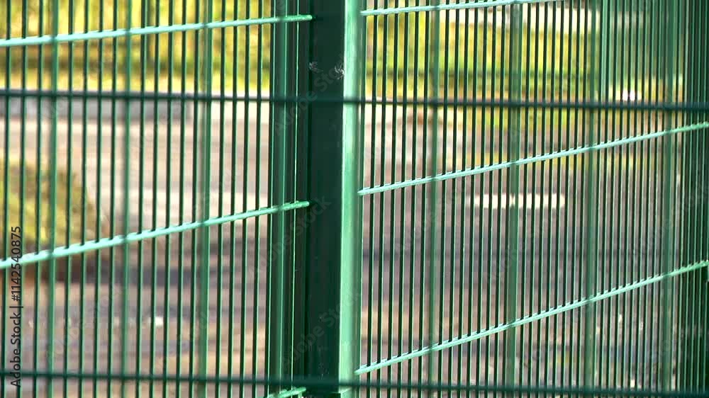 Green metal fencing in the form of a mesh. Green metal fencing in the form of a mesh.