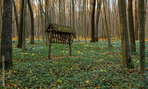 Wooden animal feeder in autumn forest. Traditional game feeder in woodland