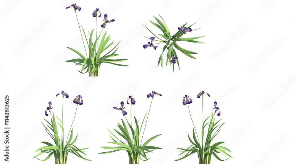 Obraz premium blue flag spring isolated on transparant background. 3d illustration