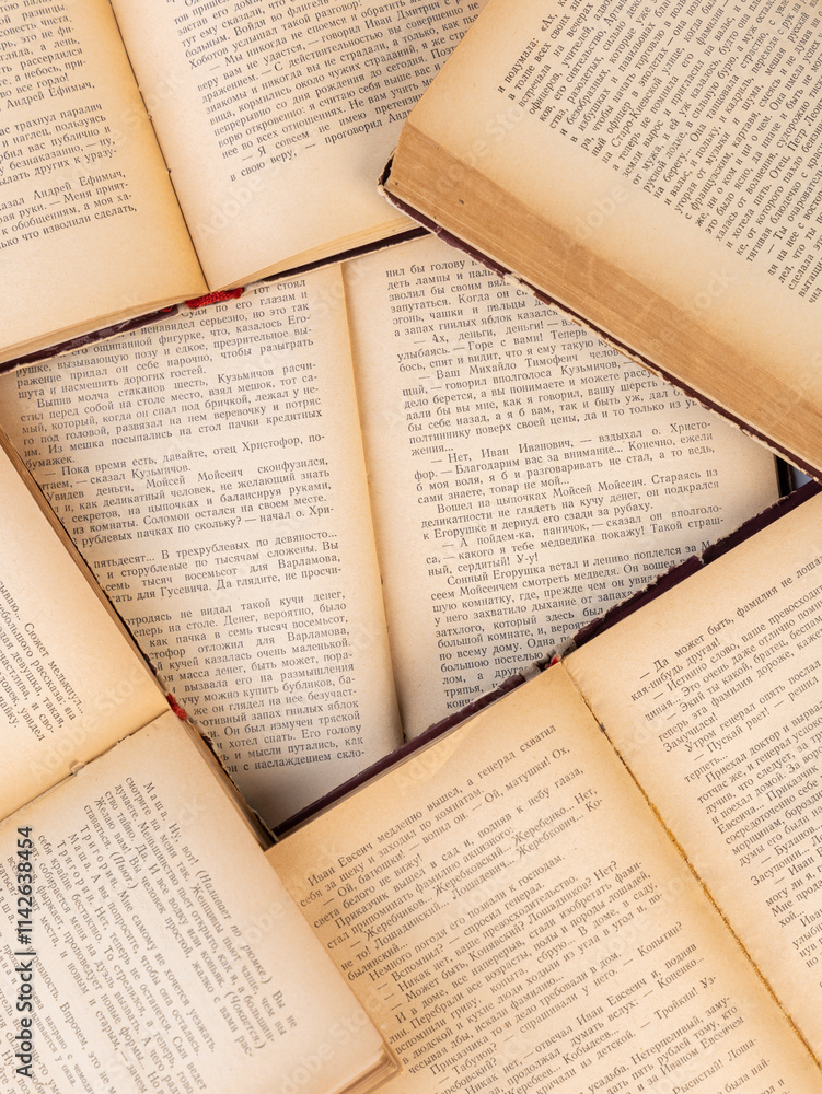 Obraz premium old books