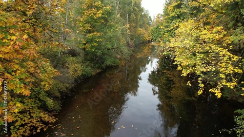 Colorful autumn leaves reflect in a calm river surrounded by lush trees in a tranquil setting, Koksilah River, Cowichan Valley, Vancouver Island, British Columbia photo