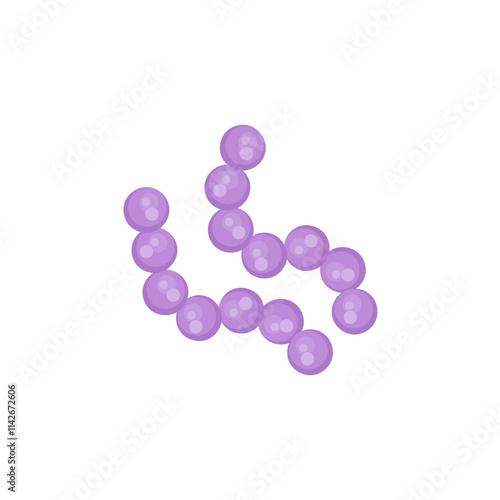 streptococcus pneumoniae bacteria illustration