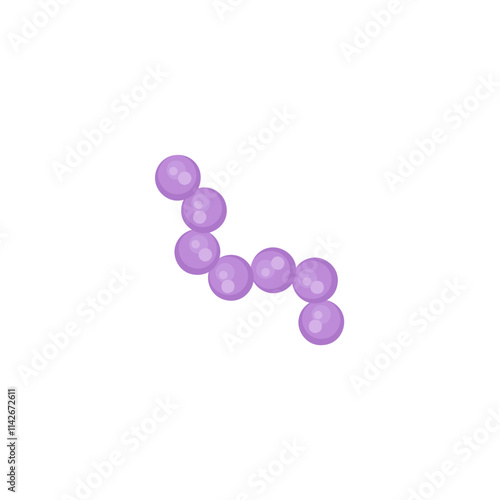 streptococcus pneumoniae bacteria illustration