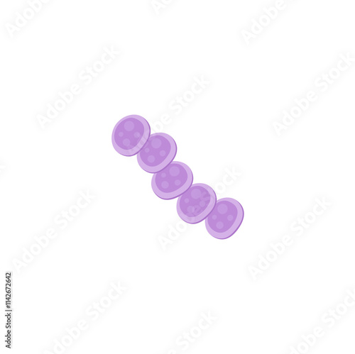 streptococcus pneumoniae bacteria illustration
