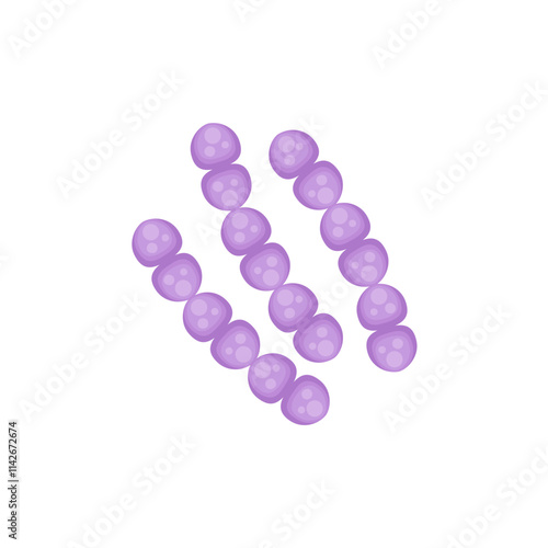 streptococcus pneumoniae bacteria illustration