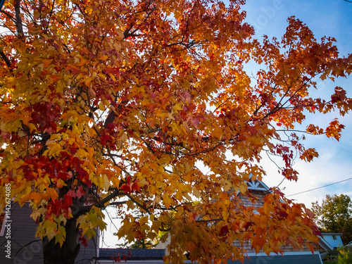 Autumn on the shore of Lake Huron, a beautiful autumn landscape photo