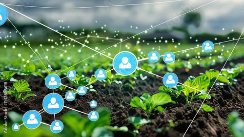 Wallpaper Mural Illuminated network connecting young plants growing in fertile soil, symbolizing the integration of technology and agriculture for enhanced monitoring and optimized growth in the field Torontodigital.ca