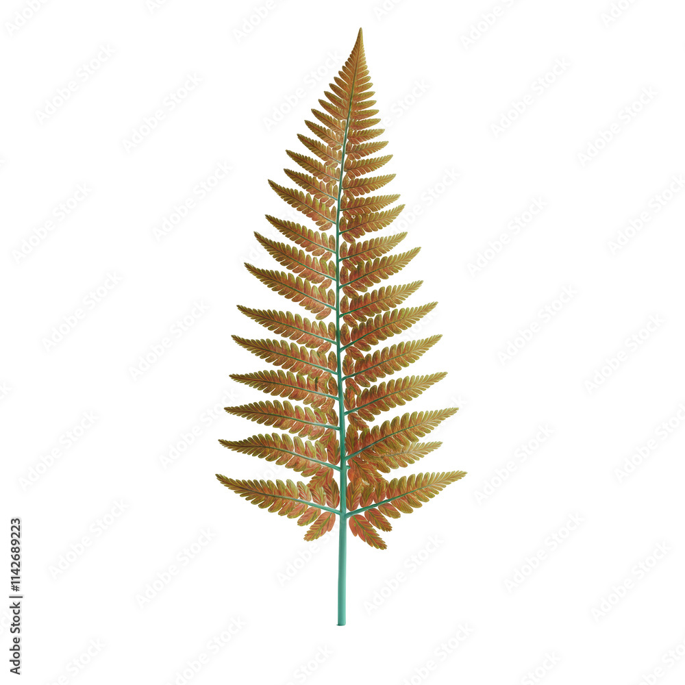 Single Fern Leaf on Soft Background Single Fern Leaf on Soft Background