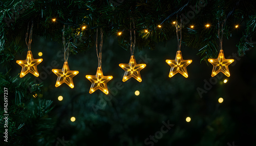 Illuminated Star Lights Hanging From Evergreen Branches