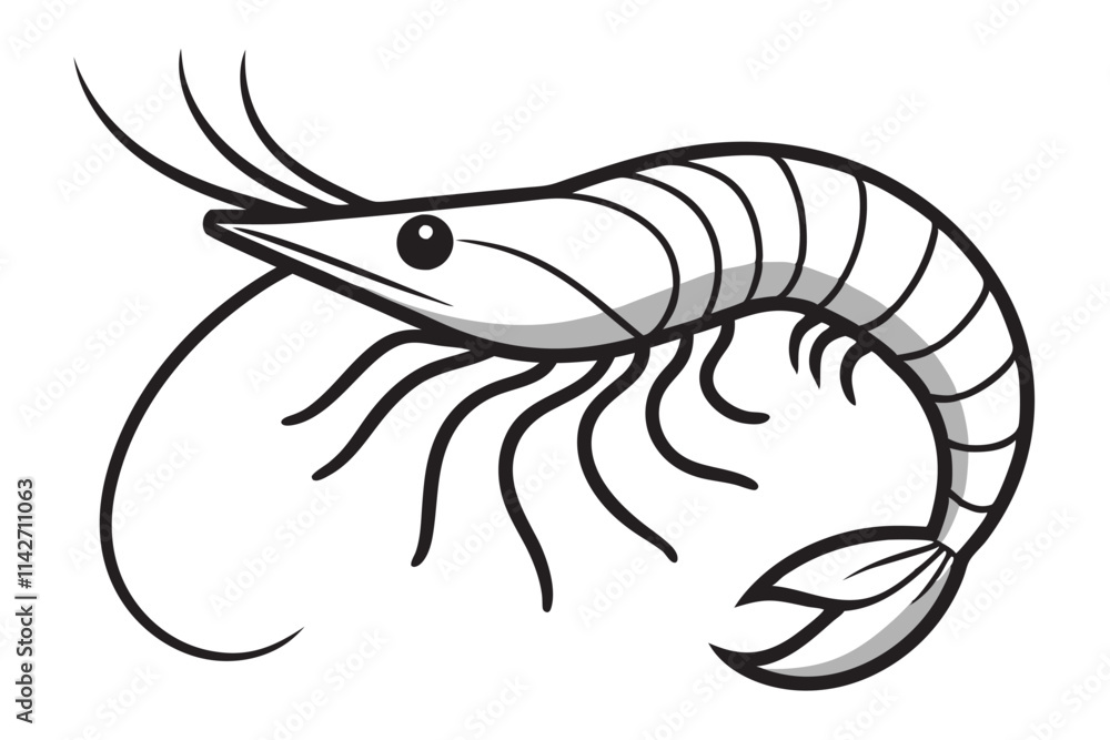 shrimp vector line art, shrimp icon vector, Sea lobster. EPS File shrimp vector line art, shrimp icon vector, Sea lobster. EPS File