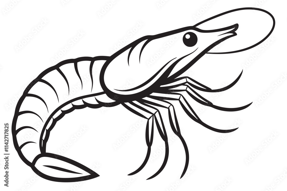 shrimp vector line art, shrimp icon vector, Sea lobster. EPS File shrimp vector line art, shrimp icon vector, Sea lobster. EPS File
