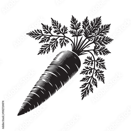Carrot Silhouette Vector Illustration, Solid White Background.