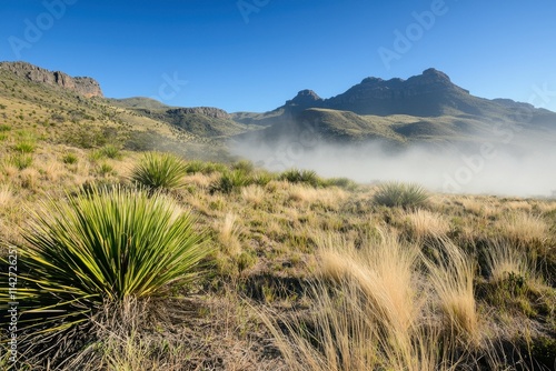 Floreana Island Highlands