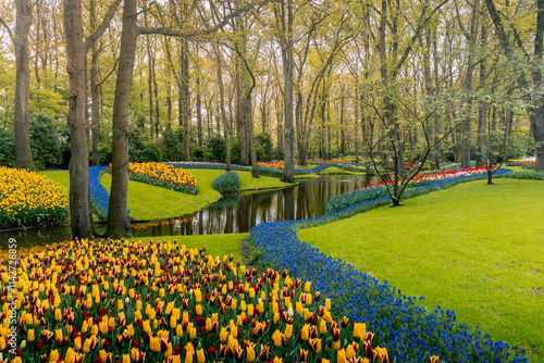 Obraz na płótnie spring in the Keukenhof