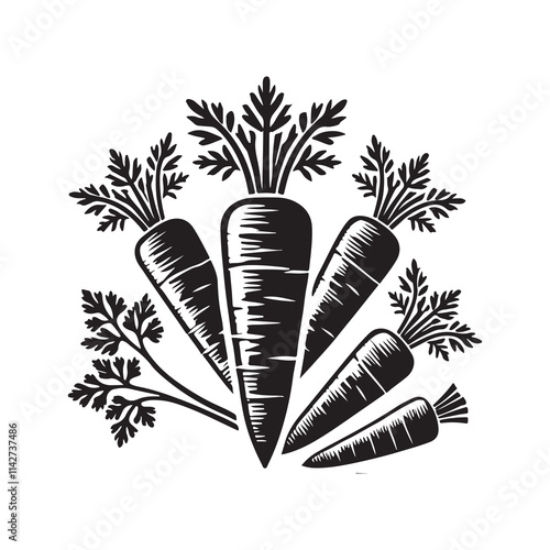 Carrot Silhouette Vector Illustration, Solid White Background.