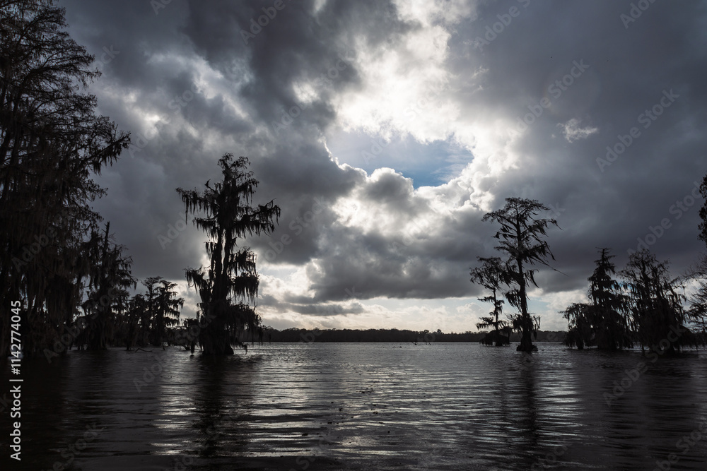 Swamp boat tour in Louisiana
