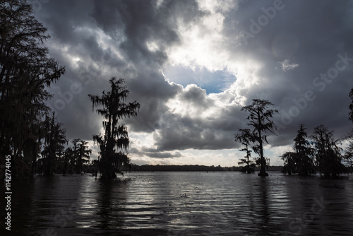 Swamp boat tour in Louisiana