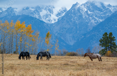 Horses beneath the Grand Tetons.