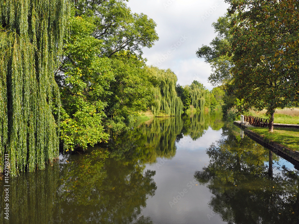 Beautiful green nature reflecting its image in the river. Beautiful green nature reflecting its image in the river.