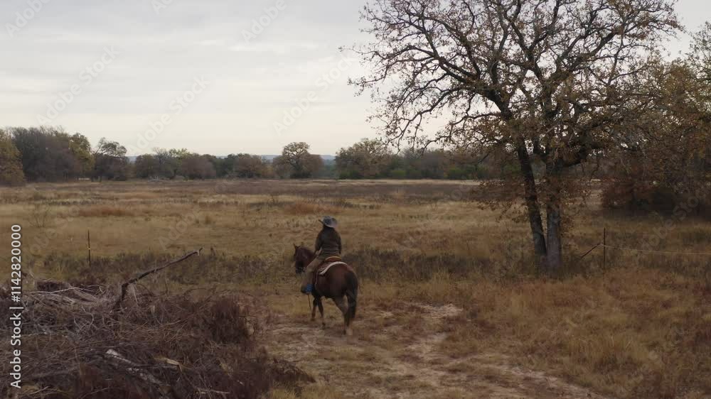 Cowgirl Woman With Cowboy Hat On Horse Walking Around Branches In Meadow Surrounded By Trees Drone Shot Cowgirl Woman With Cowboy Hat On Horse Walking Around Branches In Meadow Surrounded By Trees Drone Shot