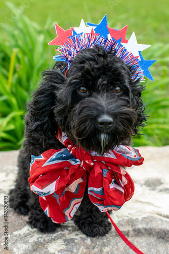 Dog in freedom costume