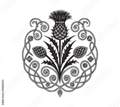 Scottish thistle vector line art in Celtic style flower 