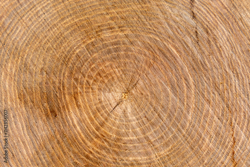 arrière plan en bois brut, jolie texture, avec défaut léger, authentique, support graphique, en transparence