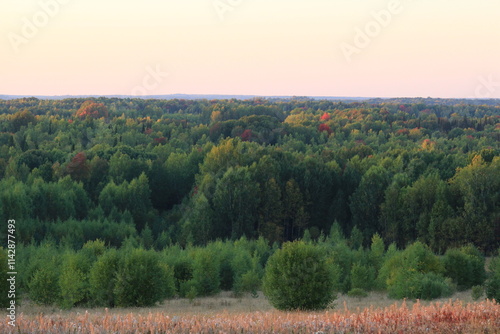 forests of northeastern Europe change their colors in early autumn Kirov region Russia photo