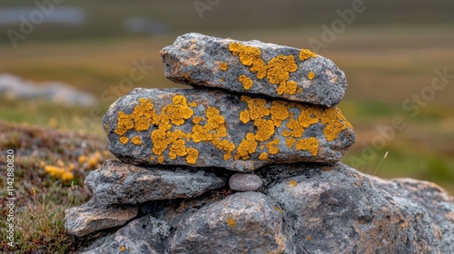 A rough rocky surface, beautifully adorned with bright yellow lichen, adds character to the natural landscape. photo