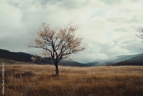 A single tree stands alone in a green field, surrounded by distant mountains