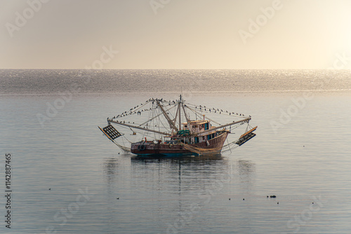 Pesca mágica Guaymas photo