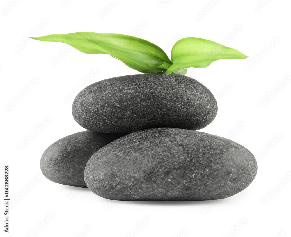 Spa stones and green leaves isolated on white Spa stones and green leaves isolated on white