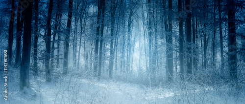 Fototapeta Naklejka Na Ścianę i Meble -  dark fantasy winter forest panorama