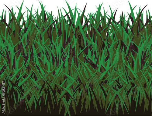 Realistic green grass vector illustration with dense green blades