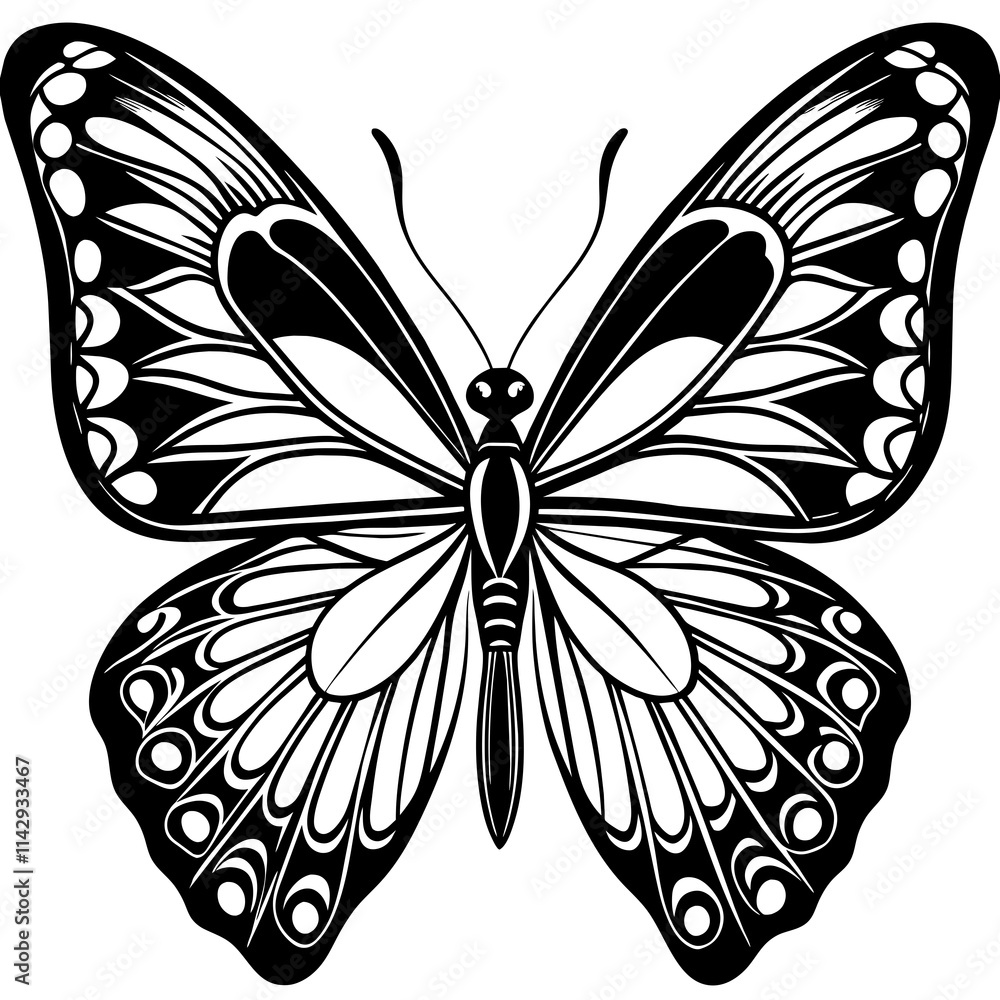 black and white butterfly black and white butterfly
