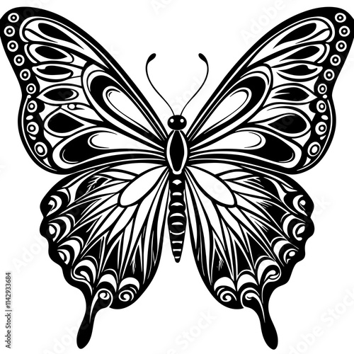 butterfly on white background