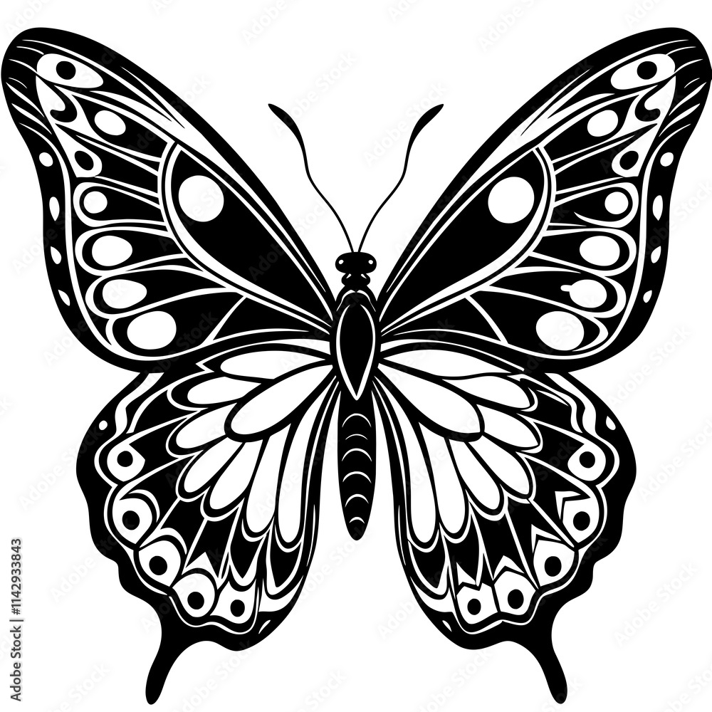 black and white butterfly black and white butterfly