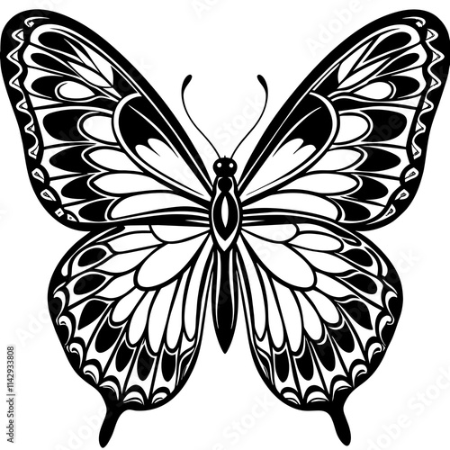 black and white butterfly