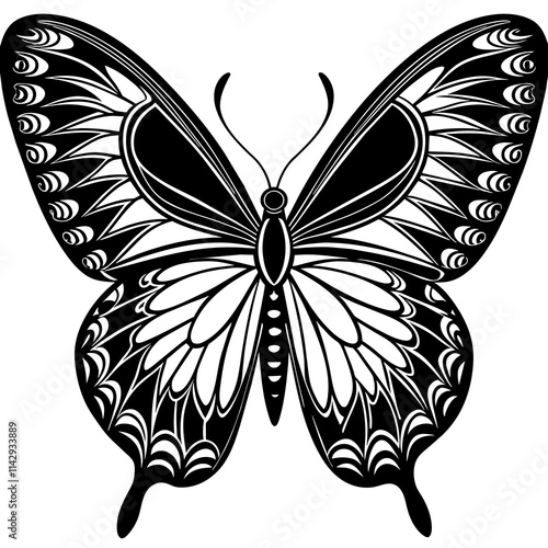 butterfly illustration