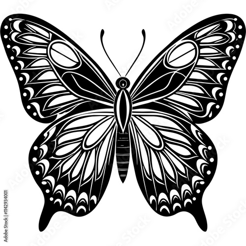 butterfly illustration