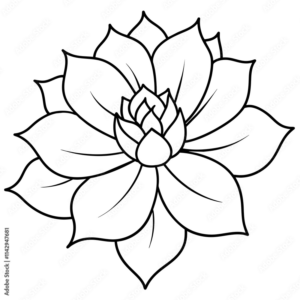 black and white rose flower vector illustration black and white rose flower vector illustration