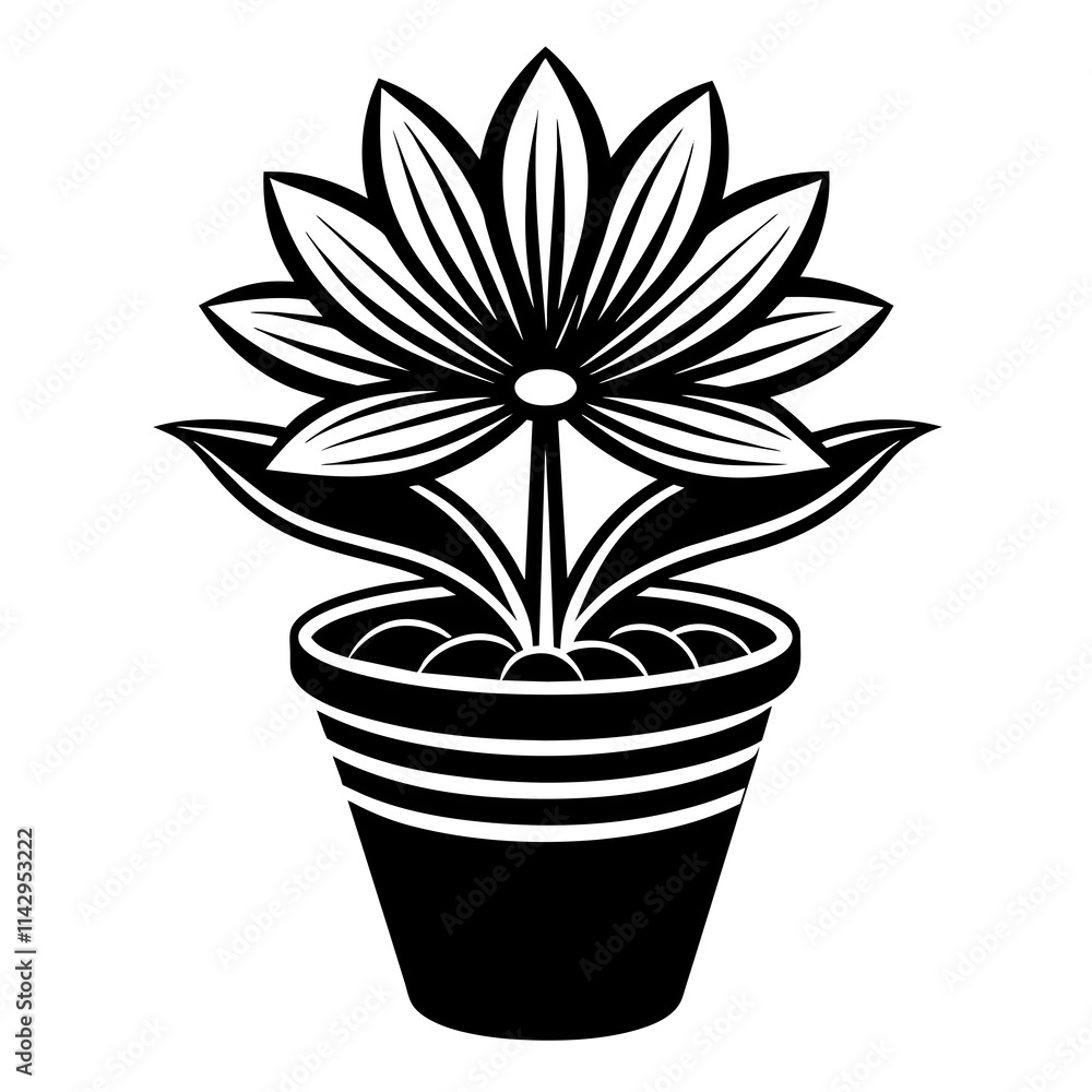 black and white flower black and white flower