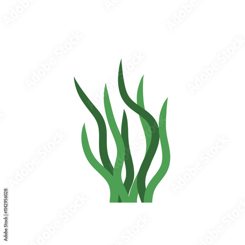 underwater sea plants and green algae for food. Plants of the aquarium. Vector illustration