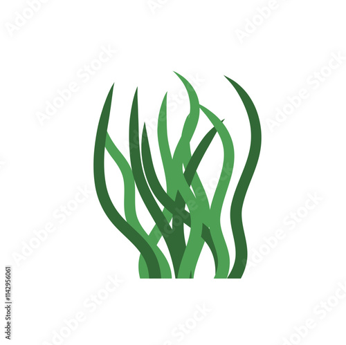 underwater sea plants and green algae for food. Plants of the aquarium. Vector illustration