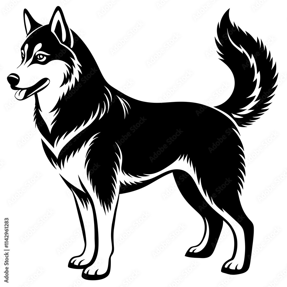 Fototapeta premium black and white dog